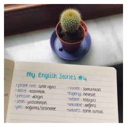 My English Stories #4 | Lia 🌳