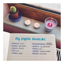 My English Stories #5 | Sally’s Diary